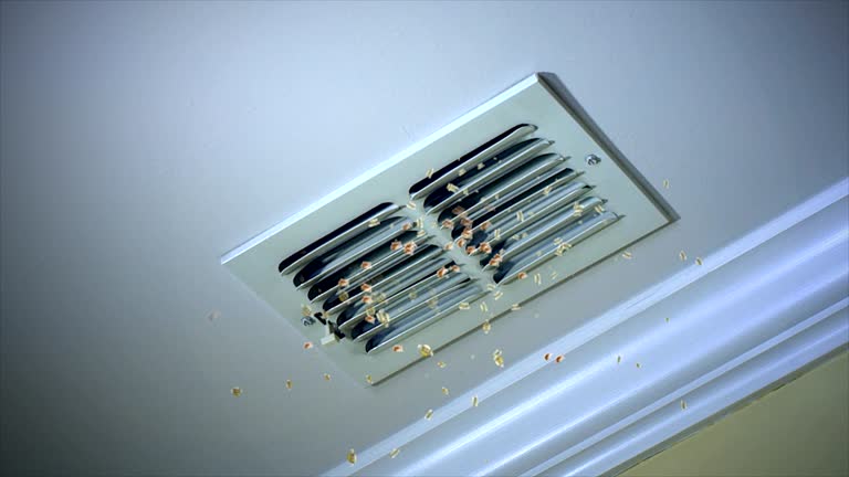 Best Home Air Vent Cleaning  in Hooper, NE