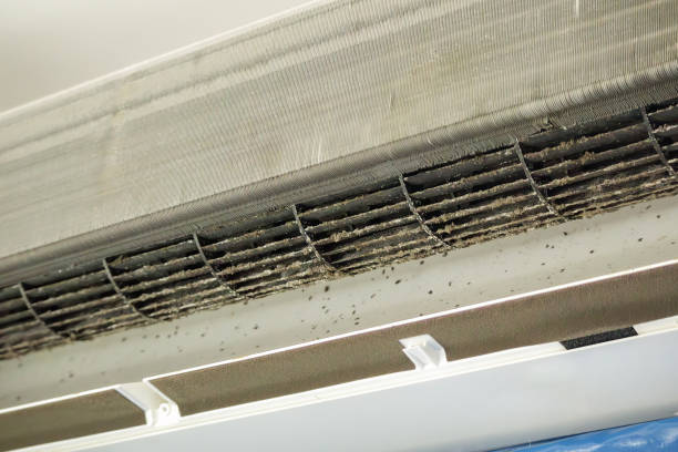 HVAC System Cleaning in Hooper, NE